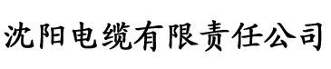 小仙女直播手机版官网电缆厂logo